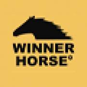 (c) Winnerhorse.com.br