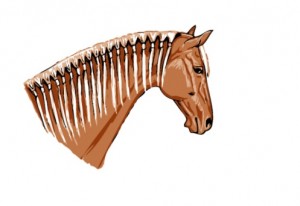 Como fazer a Trança Continental no meu cavalo? – Winner Horse